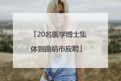 20名医学博士集体到曲靖市应聘