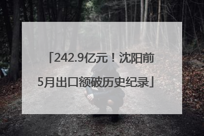 242.9亿元！沈阳前5月出口额破历史纪录