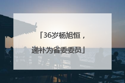 36岁杨旭恒，递补为省委委员