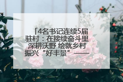 4名书记连续5届驻村：在接续奋斗里深耕沃野 绘就乡村振兴“好丰景”——浦发银行南京分行助力脱贫攻坚、帮促乡村振兴记事（二）