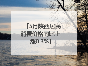5月陕西居民消费价格同比上涨0.3%