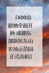 600亩耕地全面开种 成都东部新区东山农场示范园正式亮相