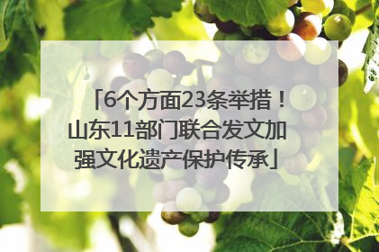 6个方面23条举措！山东11部门联合发文加强文化遗产保护传承
