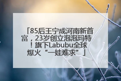 85后王宁成河南新首富，23岁创立泡泡玛特！旗下Labubu全球爆火“一娃难求”