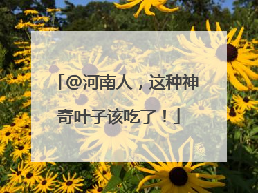 @河南人，这种神奇叶子该吃了！