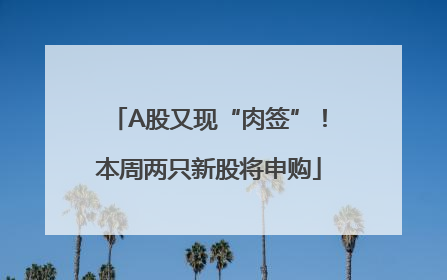 A股又现“肉签”！本周两只新股将申购