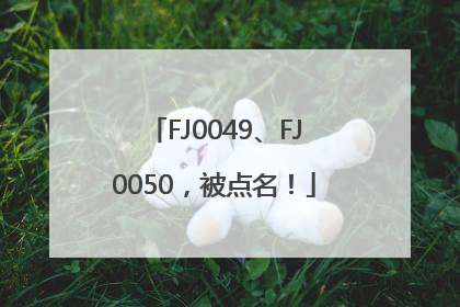 FJ0049、FJ0050，被点名！