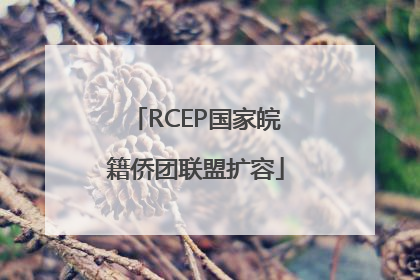 RCEP国家皖籍侨团联盟扩容