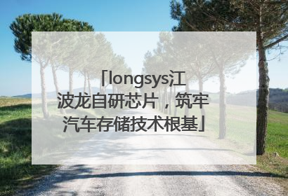 longsys江波龙自研芯片，筑牢汽车存储技术根基